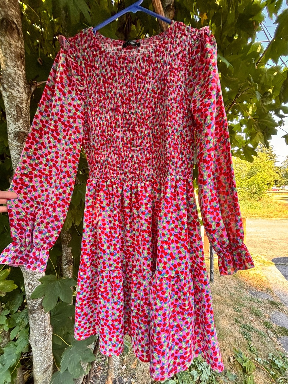 Women's Red/Pink Berry Long-Sleeve Smocked Casual Dress Size M - Picture 2 of 7